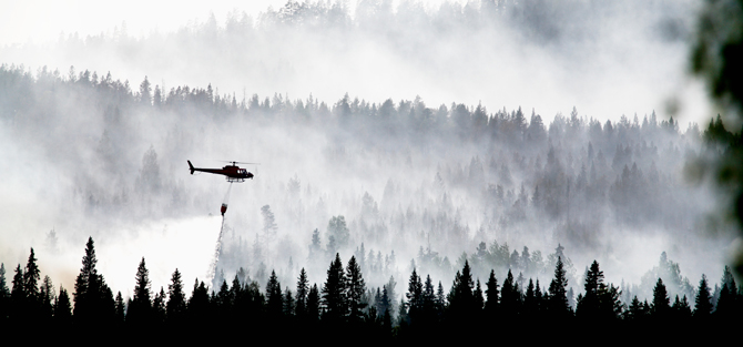 Helikopter släpper vatten över en skog som är täckt av rök. 
