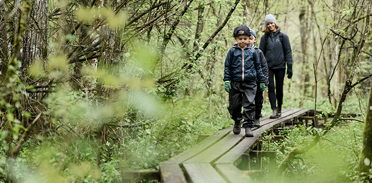 Två barn och en kvinna går på en spång i skog.