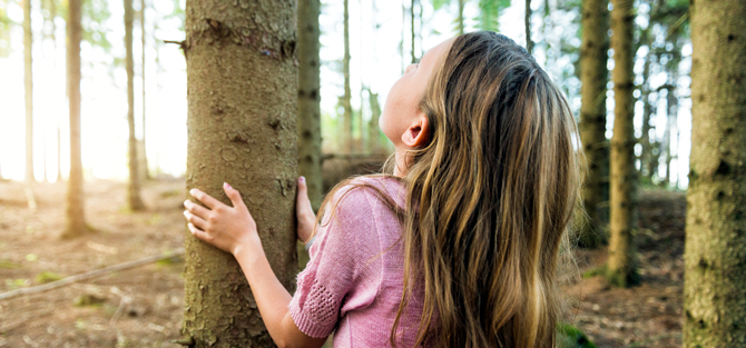 Flicka håller händerna runt och tittar upp för en trädstam i skogsmiljö.